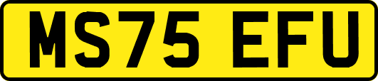 MS75EFU