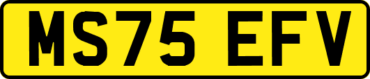 MS75EFV