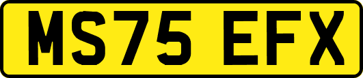 MS75EFX