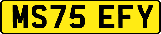MS75EFY