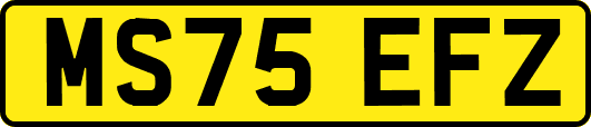 MS75EFZ