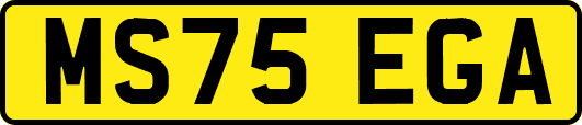 MS75EGA