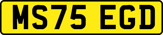 MS75EGD