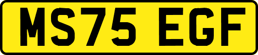 MS75EGF