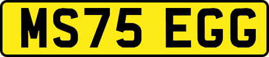 MS75EGG