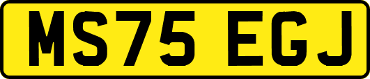 MS75EGJ