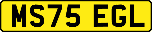 MS75EGL