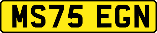 MS75EGN