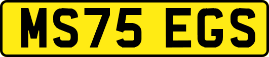 MS75EGS