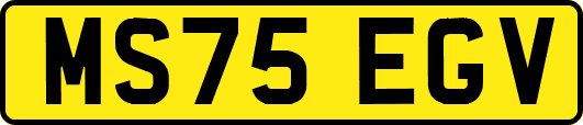 MS75EGV