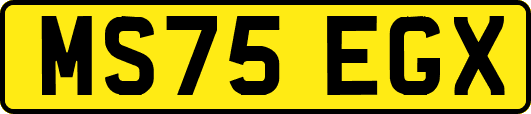 MS75EGX