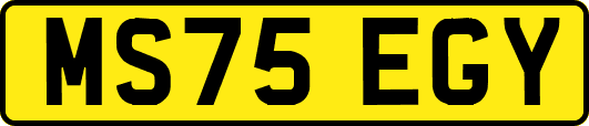 MS75EGY