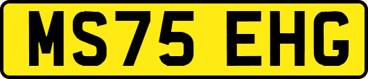 MS75EHG