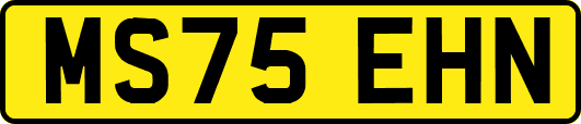 MS75EHN