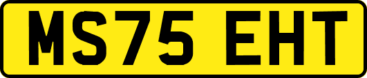 MS75EHT