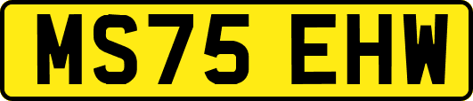 MS75EHW