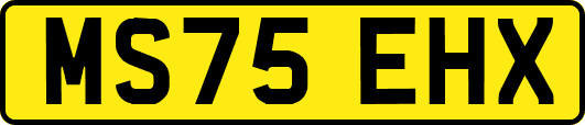 MS75EHX