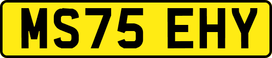 MS75EHY