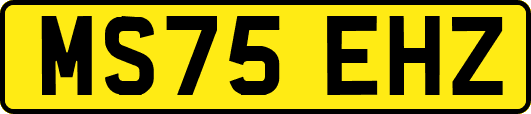 MS75EHZ