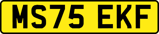 MS75EKF