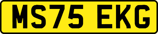 MS75EKG