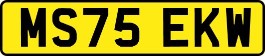 MS75EKW
