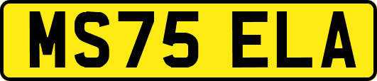 MS75ELA