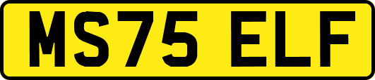 MS75ELF