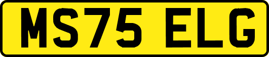 MS75ELG