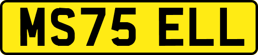 MS75ELL