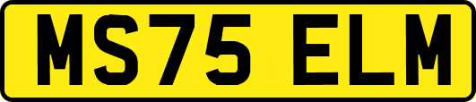 MS75ELM