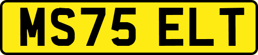 MS75ELT