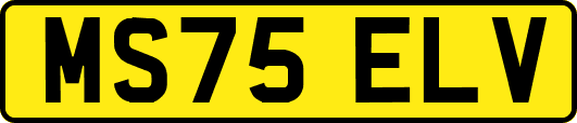 MS75ELV