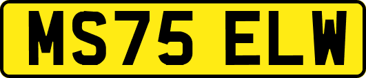 MS75ELW