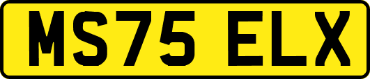 MS75ELX