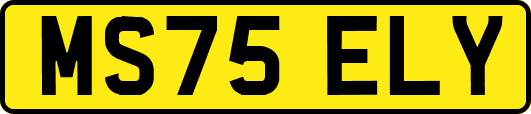 MS75ELY