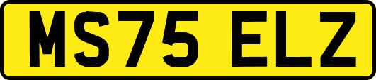MS75ELZ