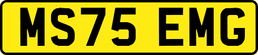 MS75EMG
