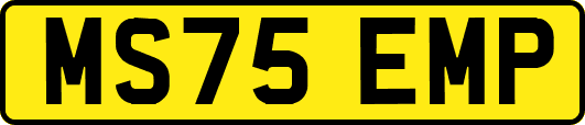 MS75EMP