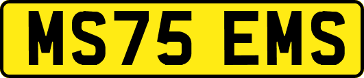 MS75EMS