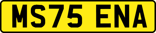 MS75ENA