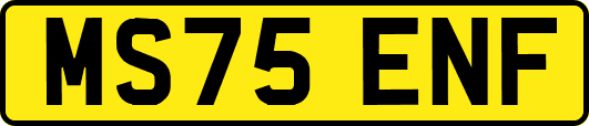 MS75ENF