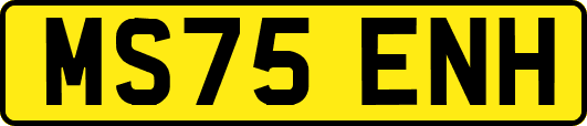 MS75ENH