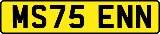 MS75ENN