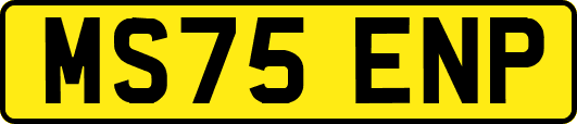 MS75ENP