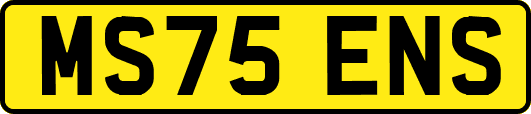 MS75ENS