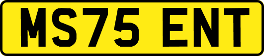 MS75ENT