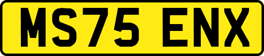 MS75ENX