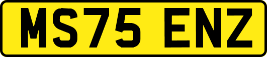 MS75ENZ