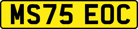 MS75EOC
